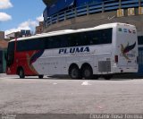Pluma Conforto e Turismo 4940 na cidade de Aparecida, São Paulo, Brasil, por Cleusenir Rosa  Ferreira. Número da foto: #3133985.