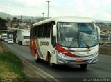 Rouxinol 410 na cidade de Belo Horizonte, Minas Gerais, Brasil, por Adão Raimundo Marcelino. Número da foto: #3134518.