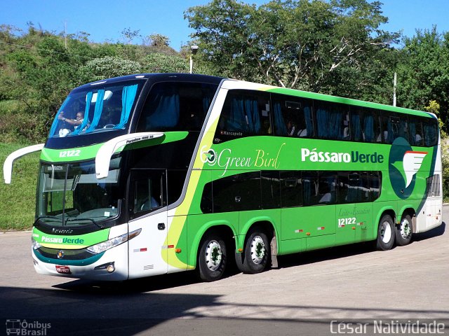 Pássaro Verde 12122 na cidade de Mariana, Minas Gerais, Brasil, por César Natividade. Número da foto: #3136229.