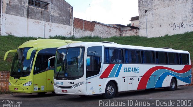 Eliz-Line Transporte e Turismo 1305 na cidade de Bauru, São Paulo, Brasil, por Cristiano Soares da Silva. ID da foto: 3136234.