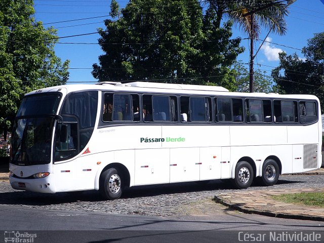 Pássaro Verde 3730 na cidade de Ouro Preto, Minas Gerais, Brasil, por César Natividade. ID da foto: 3136233.