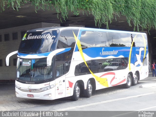 Sussantur 1950 na cidade de Belo Horizonte, Minas Gerais, Brasil, por Gabriel Oliveira. Número da foto: #3139038.