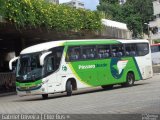 Pássaro Verde 1042 na cidade de Belo Horizonte, Minas Gerais, Brasil, por Gabriel Oliveira. Número da foto: #:id.
