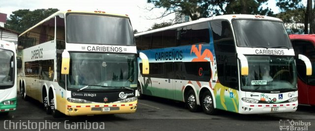 Caribeños LB 1609 na cidade de , por Christopher Gamboa. Número da foto: #3142445.