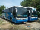 Netumar Transportes e Viagens 1043 na cidade de Olinda, Pernambuco, Brasil, por Walky Martins Nascimento. Número da foto: #3152548.