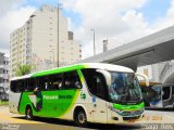 Pássaro Verde 11116 na cidade de Belo Horizonte, Minas Gerais, Brasil, por Thiago  Reis. Número da foto: #:id.