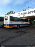 Viação Sertaneja 230 na cidade de Caetanópolis, Minas Gerais, Brasil, por Katia Falcão. Número da foto: #3150549.