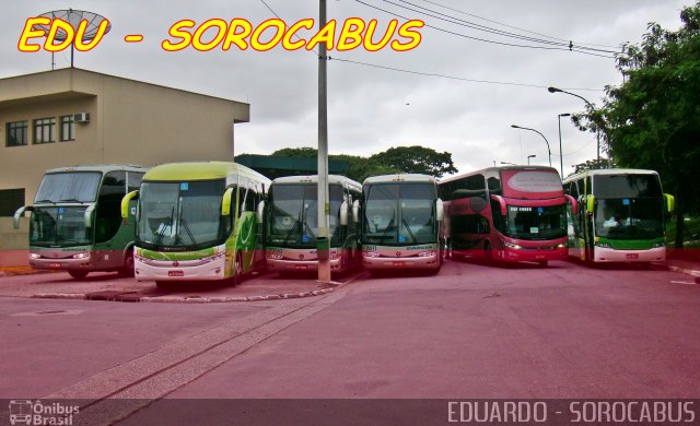 Expresso Princesa dos Campos 6205 na cidade de São Paulo, São Paulo, Brasil, por EDUARDO - SOROCABUS. Número da foto: #3155053.