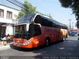 Pullman del Sur 51 na cidade de Santa Cruz, Colchagua, Libertador General Bernardo O'Higgins, Chile, por Pablo Andres Yavar Espinoza. Número da foto: #3153459.