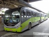 Milênio Transportes 10793 na cidade de Belo Horizonte, Minas Gerais, Brasil, por Gabriel Oliveira. Número da foto: #3164479.