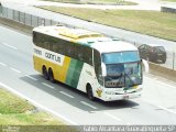 Empresa Gontijo de Transportes 17290 na cidade de Aparecida, São Paulo, Brasil, por Fabio Alcantara. Número da foto: #3169455.