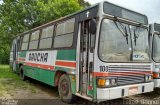 SOGAL - Sociedade de Ônibus Gaúcha Ltda. 100 na cidade de Canoas, Rio Grande do Sul, Brasil, por Felipe  Brignol. Número da foto: #3171294.