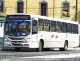 Viação Rio Vermelho 1141 na cidade de Salvador, Bahia, Brasil, por Ícaro Chagas. Número da foto: #:id.