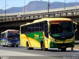 TREL - Transturismo Rei RJ 165.323 na cidade de Rio de Janeiro, Rio de Janeiro, Brasil, por Renan Vieira. Número da foto: #3114195.