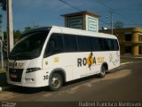 Rosa Tur 30 na cidade de Rosário do Sul, Rio Grande do Sul, Brasil, por Rudinei Francisco Mantovani. Número da foto: #:id.