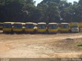 Viação Itapemirim 41033 na cidade de Cachoeiro de Itapemirim, Espírito Santo, Brasil, por Gilberto Martins. Número da foto: #3114296.