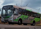 Cidade Verde Transporte Rodoviário 1204 na cidade de Maringá, Paraná, Brasil, por Pedroka Ternoski. Número da foto: #:id.