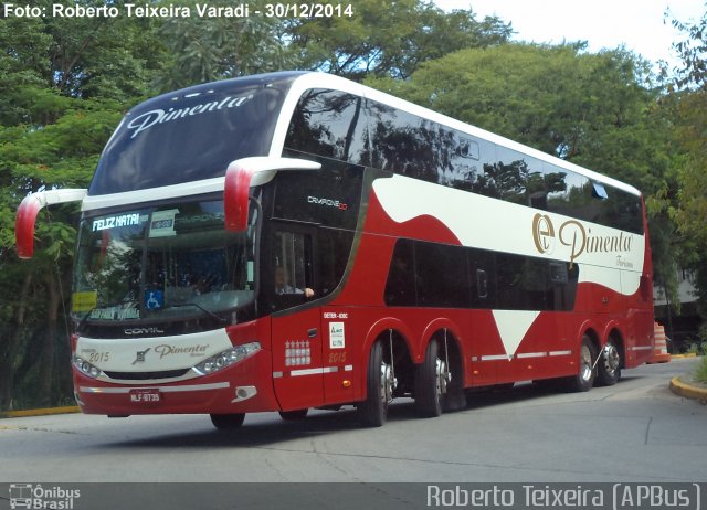 Pimenta Turismo 2015 na cidade de São Paulo, São Paulo, Brasil, por Roberto Teixeira. ID da foto: 3119670.