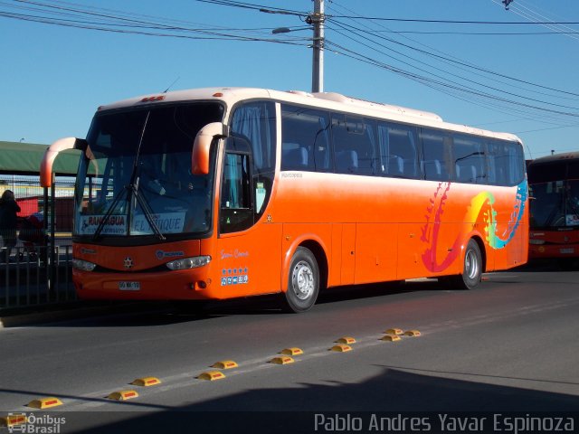 Pullman El Huique 04 na cidade de Santa Cruz, Colchagua, Libertador General Bernardo O'Higgins, Chile, por Pablo Andres Yavar Espinoza. Número da foto: #3121760.