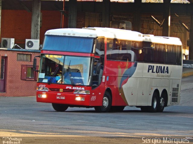 Pluma Conforto e Turismo 4919 na cidade de Porto Alegre, Rio Grande do Sul, Brasil, por Sergio Marques . Número da foto: #3125626.