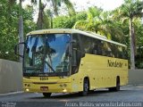 Viação Nordeste 8050 na cidade de Fortaleza, Ceará, Brasil, por Amós  Mattos. Número da foto: #3177449.