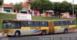 Prefeitura Municipal de Duartina 2442 na cidade de Duartina, São Paulo, Brasil, por Cristiano Soares da Silva. Número da foto: #3177136.