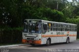 Auto Viação Santa Cruz 969 na cidade de Recife, Pernambuco, Brasil, por Thiago Alex. Número da foto: #:id.