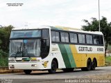 Empresa Gontijo de Transportes 11300 na cidade de João Monlevade, Minas Gerais, Brasil, por Antonio Carlos Fernandes. Número da foto: #3204434.
