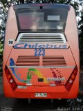 Chilebus Internacional 223 na cidade de São Paulo, São Paulo, Brasil, por Manoel Junior. Número da foto: #3207047.