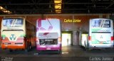 Transbrasiliana Transportes e Turismo 4143 na cidade de Goiânia, Goiás, Brasil, por Carlos Júnior. Número da foto: #3208052.