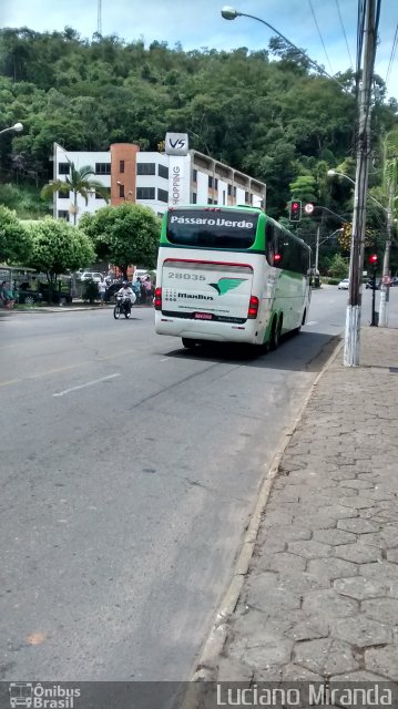 Pássaro Verde 28035 na cidade de Viçosa, Minas Gerais, Brasil, por Luciano Miranda. Número da foto: #3212406.