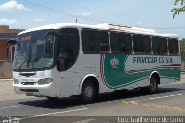 Empresa Expresso Princesa do Sul 163 na cidade de Teresina, Piauí, Brasil, por Luiz Guilherme de Lima. ID da foto: 3211971.