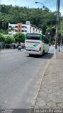 Pássaro Verde 28035 na cidade de Viçosa, Minas Gerais, Brasil, por Luciano Miranda. Número da foto: #3212406.