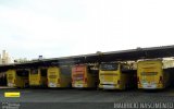 Viação Itapemirim GARAGEM- BHZ na cidade de Belo Horizonte, Minas Gerais, Brasil, por Maurício Nascimento. Número da foto: #3215640.
