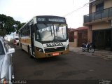 Escolares 53 na cidade de Arapongas, Paraná, Brasil, por Tadeu Santana. Número da foto: #:id.