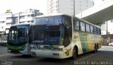Empresa Gontijo de Transportes 11345 na cidade de Belo Horizonte, Minas Gerais, Brasil, por Maurício Nascimento. Número da foto: #3217923.