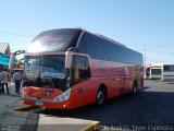 Pullman del Sur 206 na cidade de Santa Cruz, Colchagua, Libertador General Bernardo O'Higgins, Chile, por Pablo Andres Yavar Espinoza. Número da foto: #3217784.