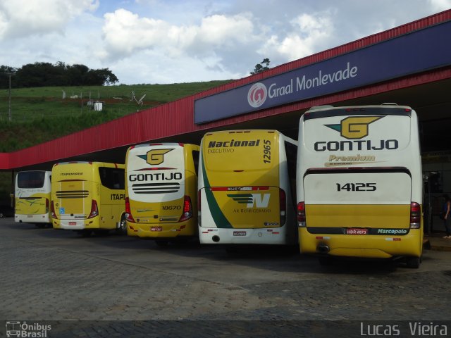 Empresa Gontijo de Transportes 14125 na cidade de João Monlevade, Minas Gerais, Brasil, por Lucas Vieira. ID da foto: 3181081.