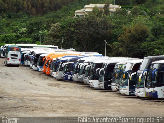 Transportes Thomaz 1205 na cidade de Aparecida, São Paulo, Brasil, por Fabio Alcantara. ID da foto: 3226443.