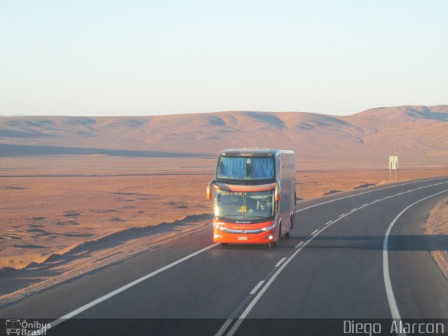Pullman Bus  na cidade de , por Diego Alarcon. Número da foto: #3227556.