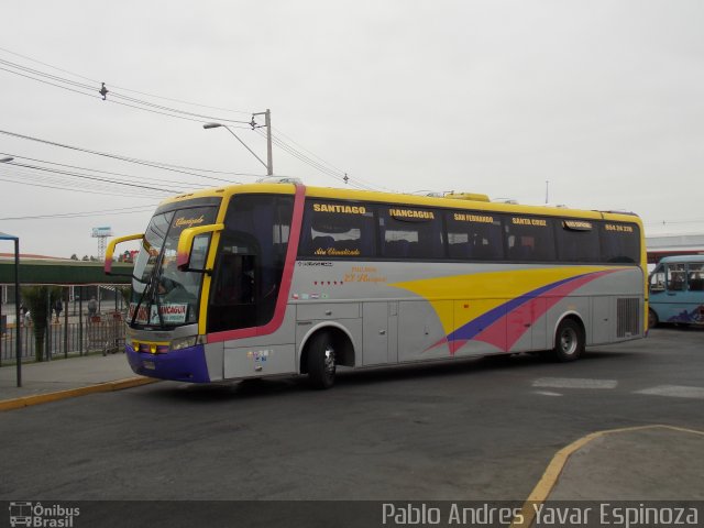 Pullman El Huique 01 na cidade de Santa Cruz, Colchagua, Libertador General Bernardo O'Higgins, Chile, por Pablo Andres Yavar Espinoza. Número da foto: #3232525.