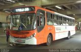 TRANSPPASS - Transporte de Passageiros 8 1315 na cidade de São Paulo, São Paulo, Brasil, por Roberto Teixeira. Número da foto: #:id.