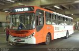 TRANSPPASS - Transporte de Passageiros 8 1315 na cidade de São Paulo, São Paulo, Brasil, por Roberto Teixeira. ID da foto: :id.