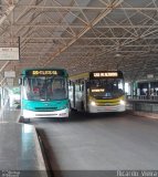 Viação Pioneira 400548 na cidade de Ceilândia, Distrito Federal, Brasil, por Ricardo Vieira. Número da foto: #3241588.