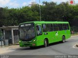 Transimão 1367 na cidade de Contagem, Minas Gerais, Brasil, por Leonardo  Moreira. Número da foto: #:id.