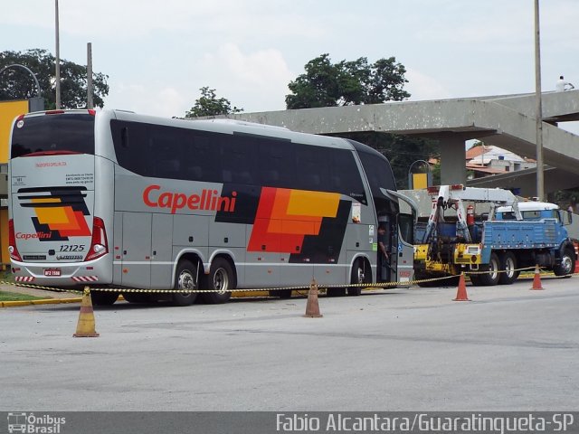 Transportes Capellini 12125 na cidade de Guaratinguetá, São Paulo, Brasil, por Fabio Alcantara. Número da foto: #3246109.
