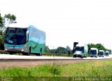 Rosa Turismo 14401 na cidade de Boituva, São Paulo, Brasil, por Carlos Augusto Sousa. Número da foto: #3246716.