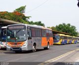 Transturismo Rio Minho RJ 166.101 na cidade de Magé, Rio de Janeiro, Brasil, por Lucas Lima. Número da foto: #3245984.
