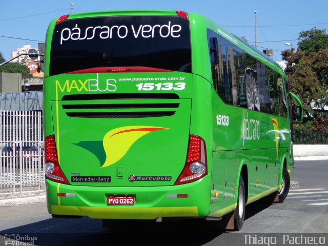 Pássaro Verde 15133 na cidade de Belo Horizonte, Minas Gerais, Brasil, por Thiago  Pacheco. Número da foto: #3248985.