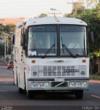 Motorhomes 6119 na cidade de Cascavel, Paraná, Brasil, por Felipe  Dn. Número da foto: #3249429.